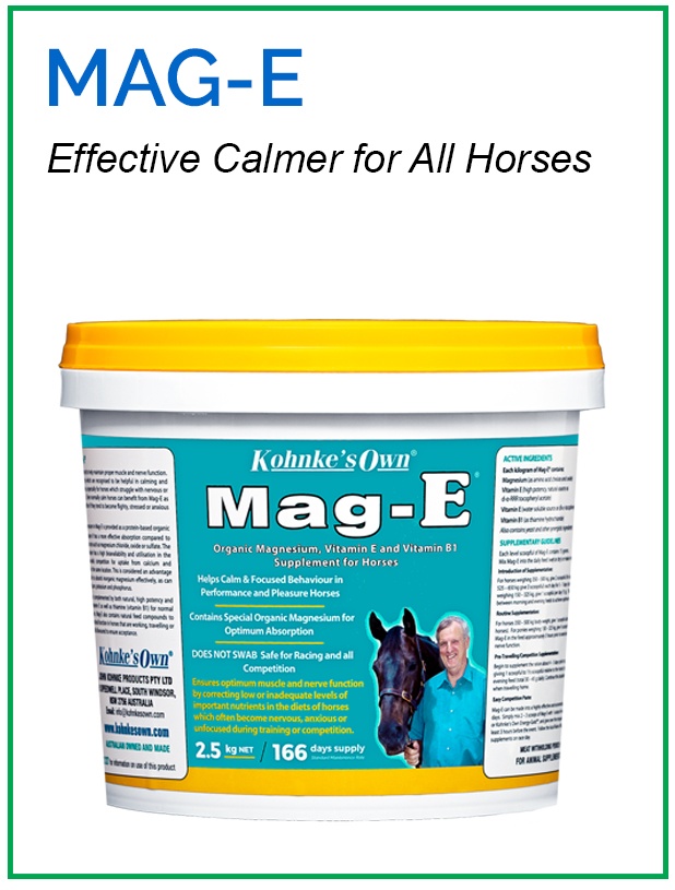 Supplement for Horses in Heavy Work