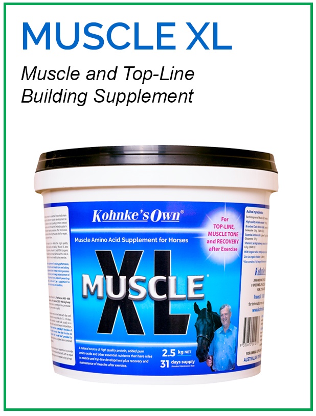 Supplement for Muscle Health