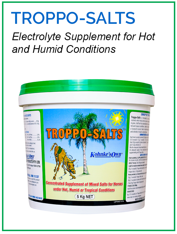 Supplements for Racing Horses