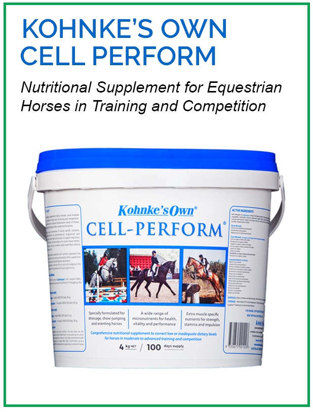 Supplement for Horses in Heavy Work